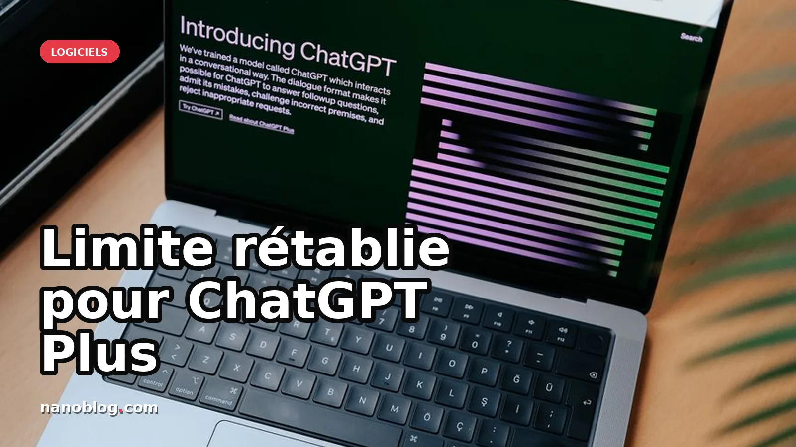 ChatGPT Plus : réintroduction des restrictions d'utilisation pour Codex et Work — photo Hatice Baran