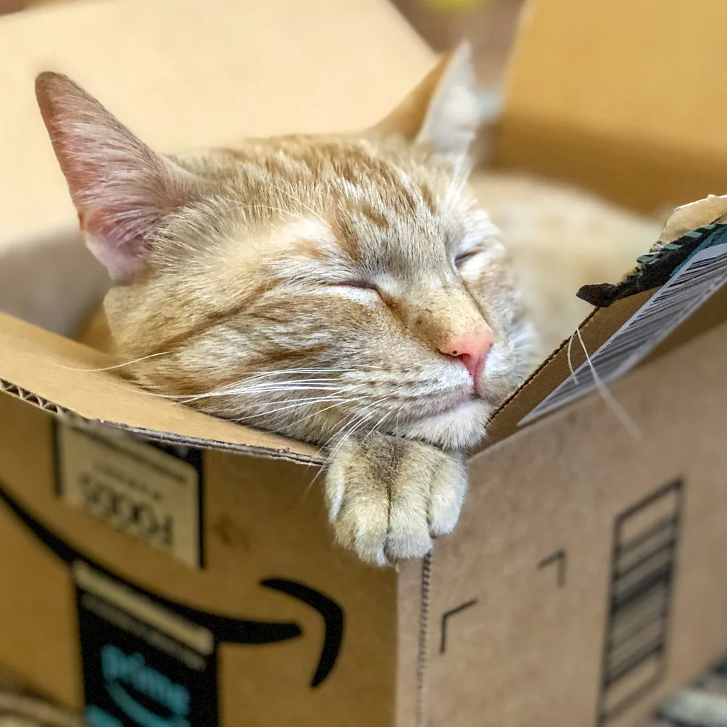 Tout ce qu’il faut savoir sur l’abonnement Amazon Prime