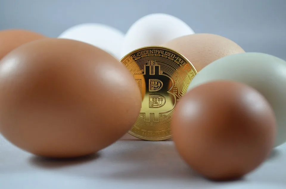 cryptomonnaies