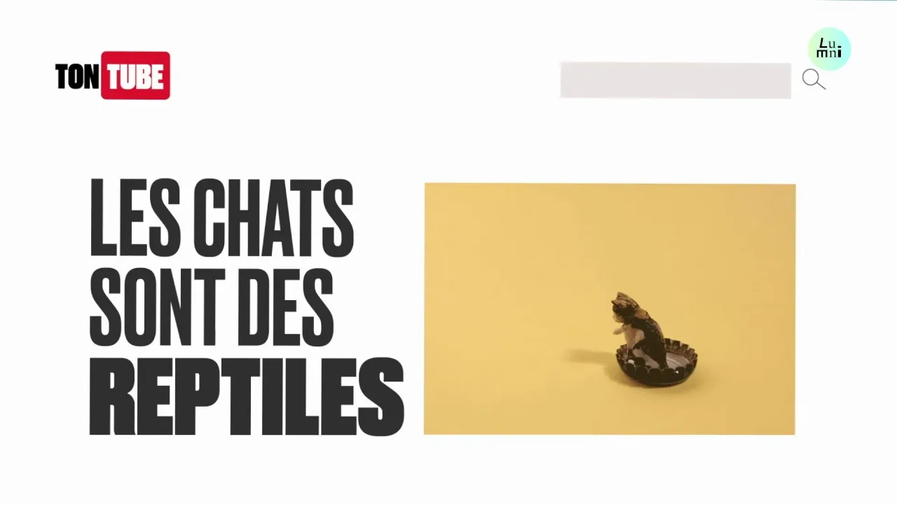 désinformation sur youtube et autres plateformes : le classement surprenant selon l’étude