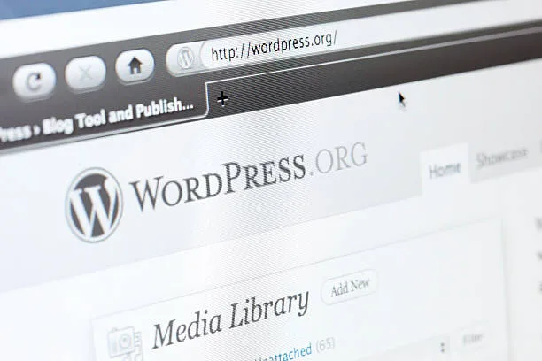 WordPress éco-responsable : thèmes et plugins recommandés