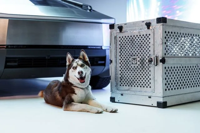 Les innovations qui révolutionnent l’élevage du chien ferme moderne